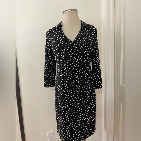 Liz Lange Black White Polka Dot Collared V-Neck Breastfeeding Friendly Dress - Picture 4 of 6